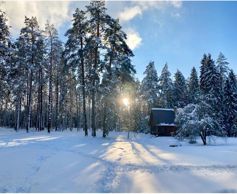 Villa Rojaus Slenis Druskininkai Exterior foto