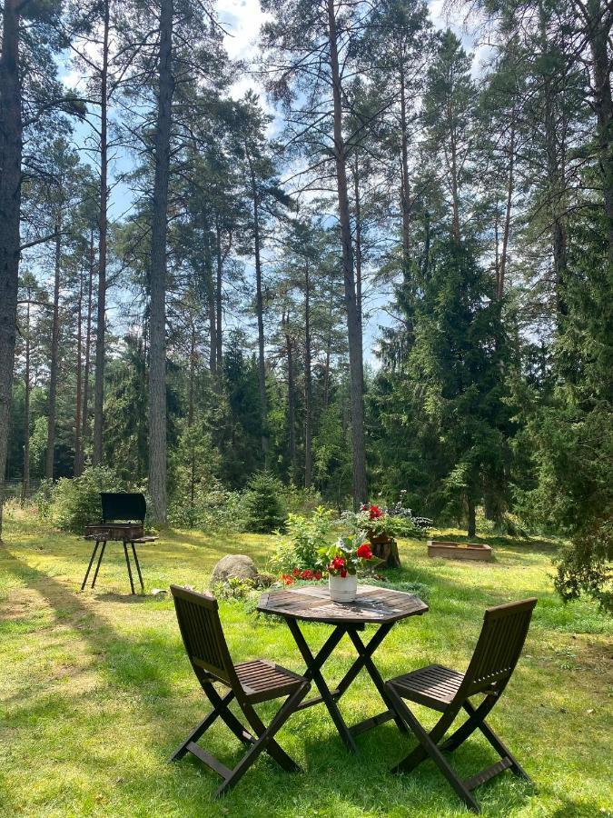 Villa Rojaus Slenis Druskininkai Exterior foto