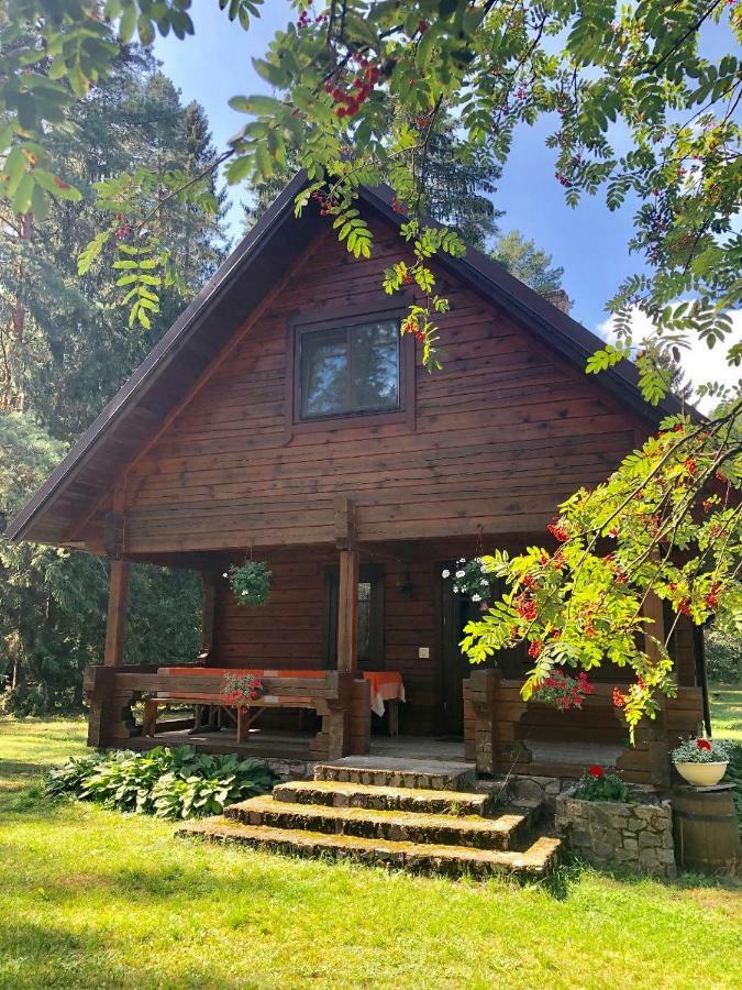 Villa Rojaus Slenis Druskininkai Exterior foto